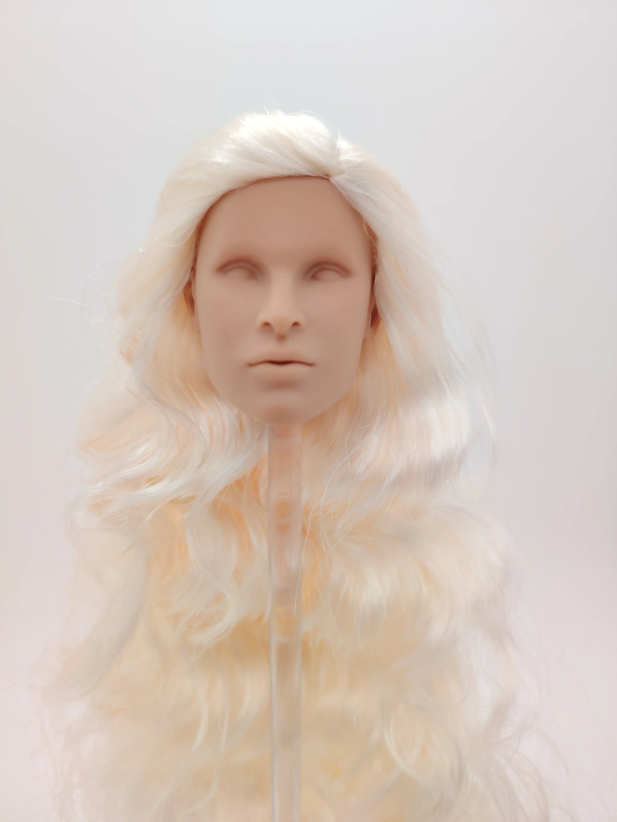 Fashion Royalty Blonde Hair Rerooted 1/6 Scale Homme Male Man Blank Doll Head