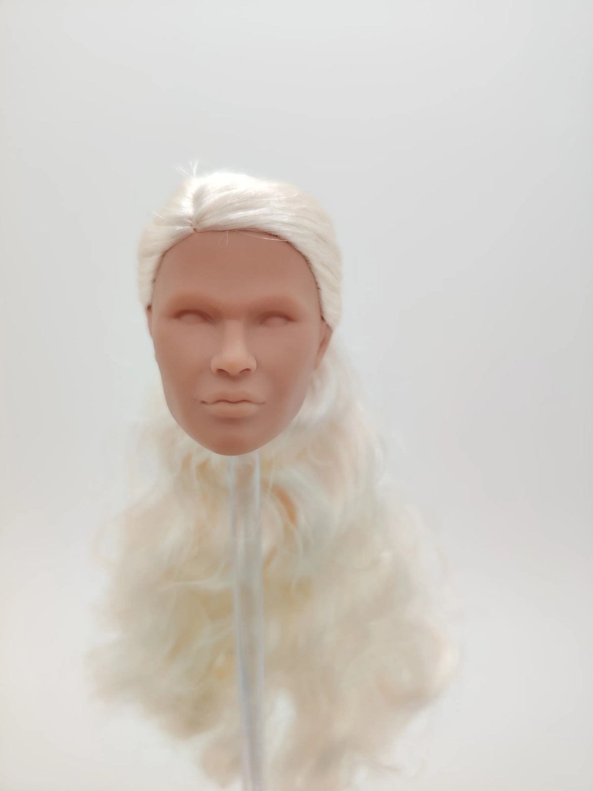 Fashion Royalty Blonde Hair Rerooted 1/6 Scale Homme Male Man Blank Doll Head