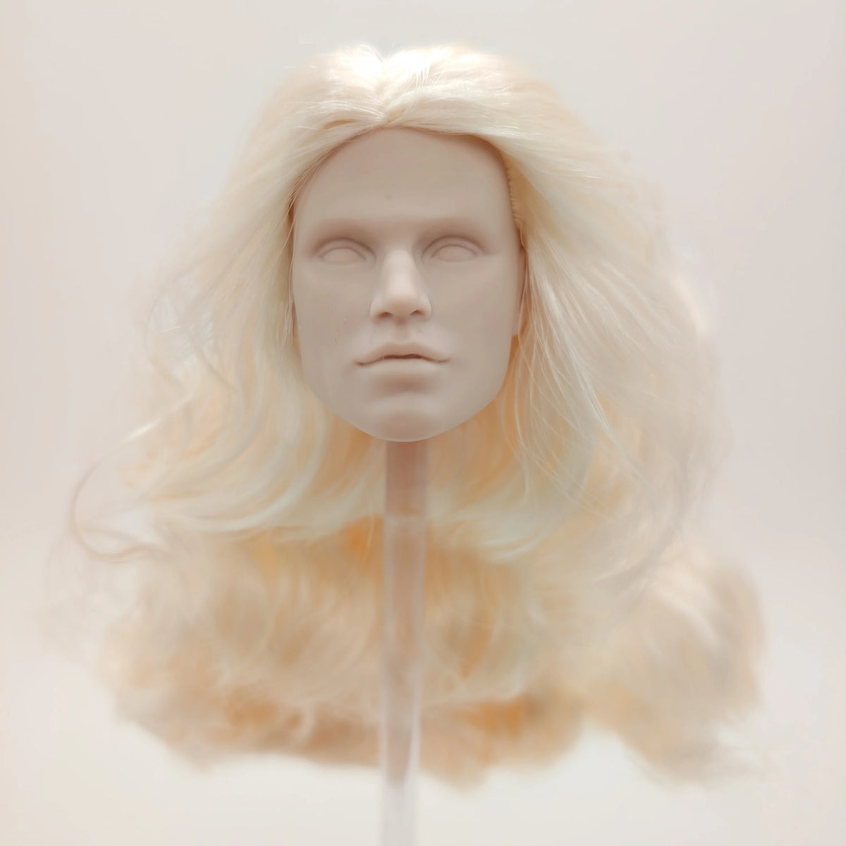 Fashion Royalty Noah Faraday Blonde Hair Japan Skin Color Infusion 1/6 Scale Doll Head