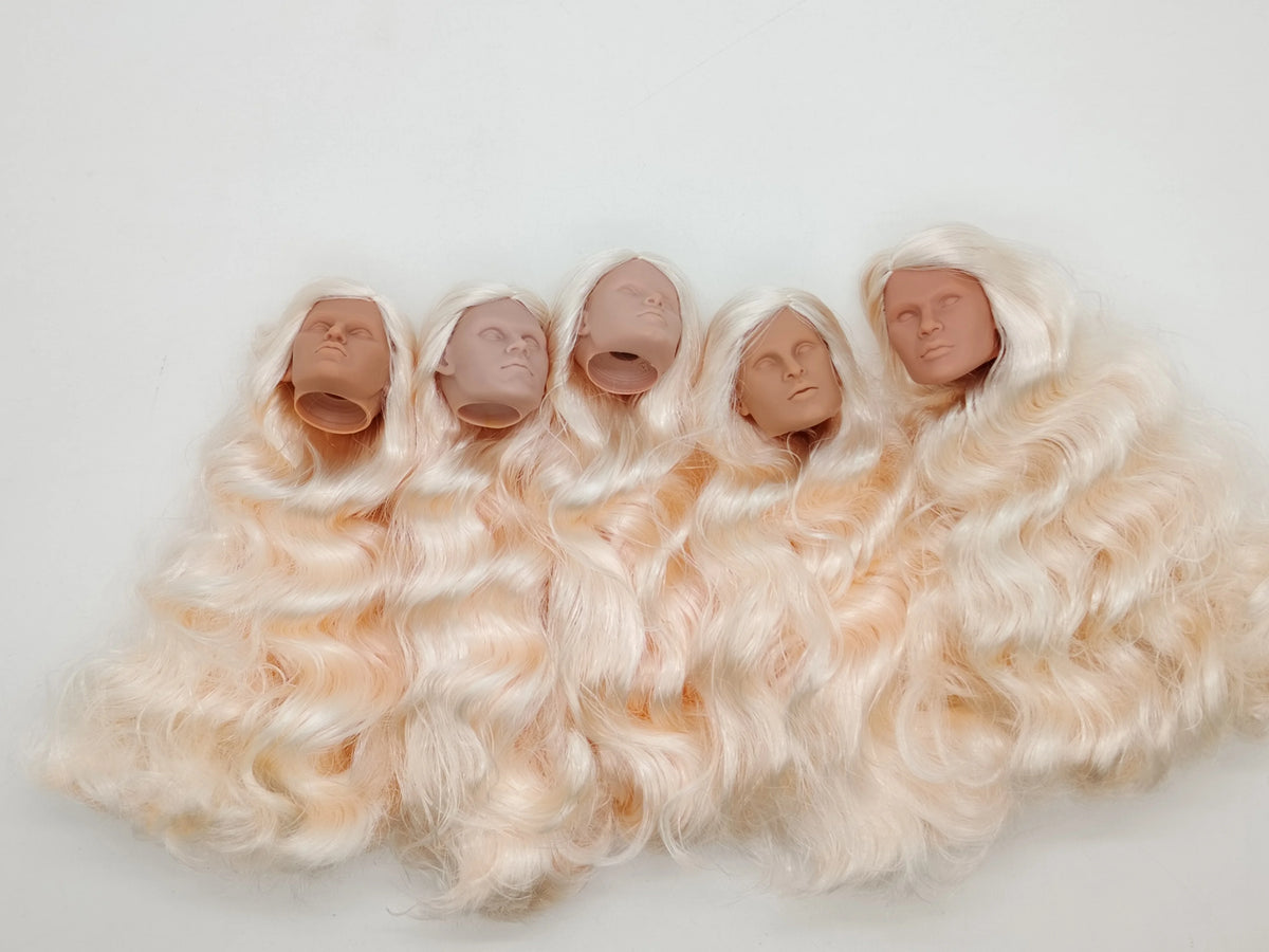 Fashion Royalty Blonde Hair Rerooted 1/6 Scale Homme Male Man Blank Doll Head