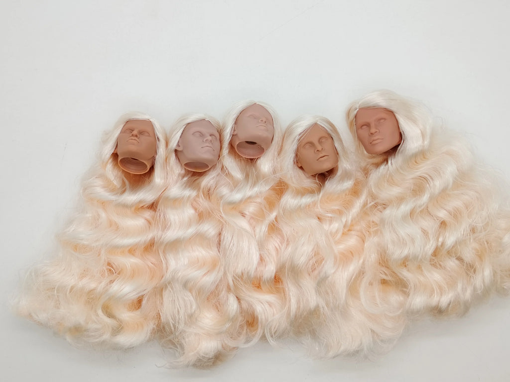 Fashion Royalty Blonde Hair Rerooted 1/6 Scale Homme Male Man Blank Doll Head