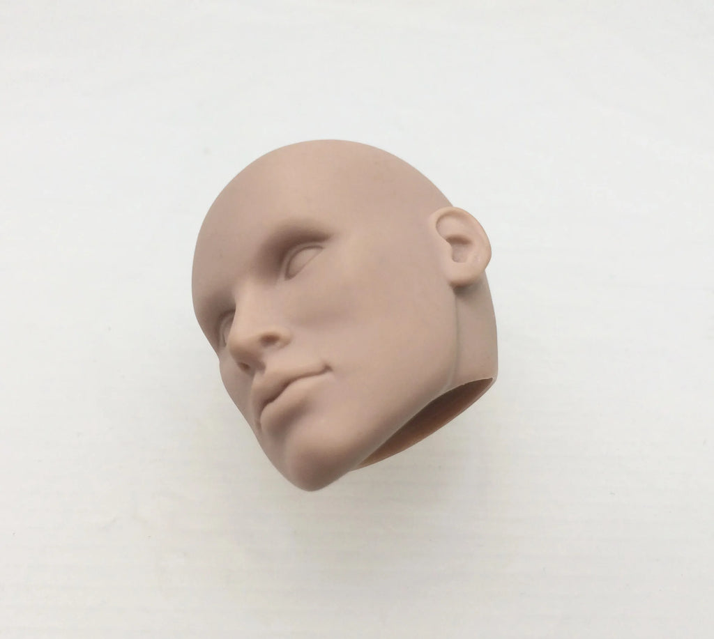 Fashion Royalty Color Infusion No Hair Japan Skin 1/6 Scale Integrity Male Nigel North Doll Head