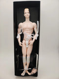 Fashion Muscle Male Body Head White Skin 1/6 Scale Mizi Adonis Nude Doll and Extra Hands