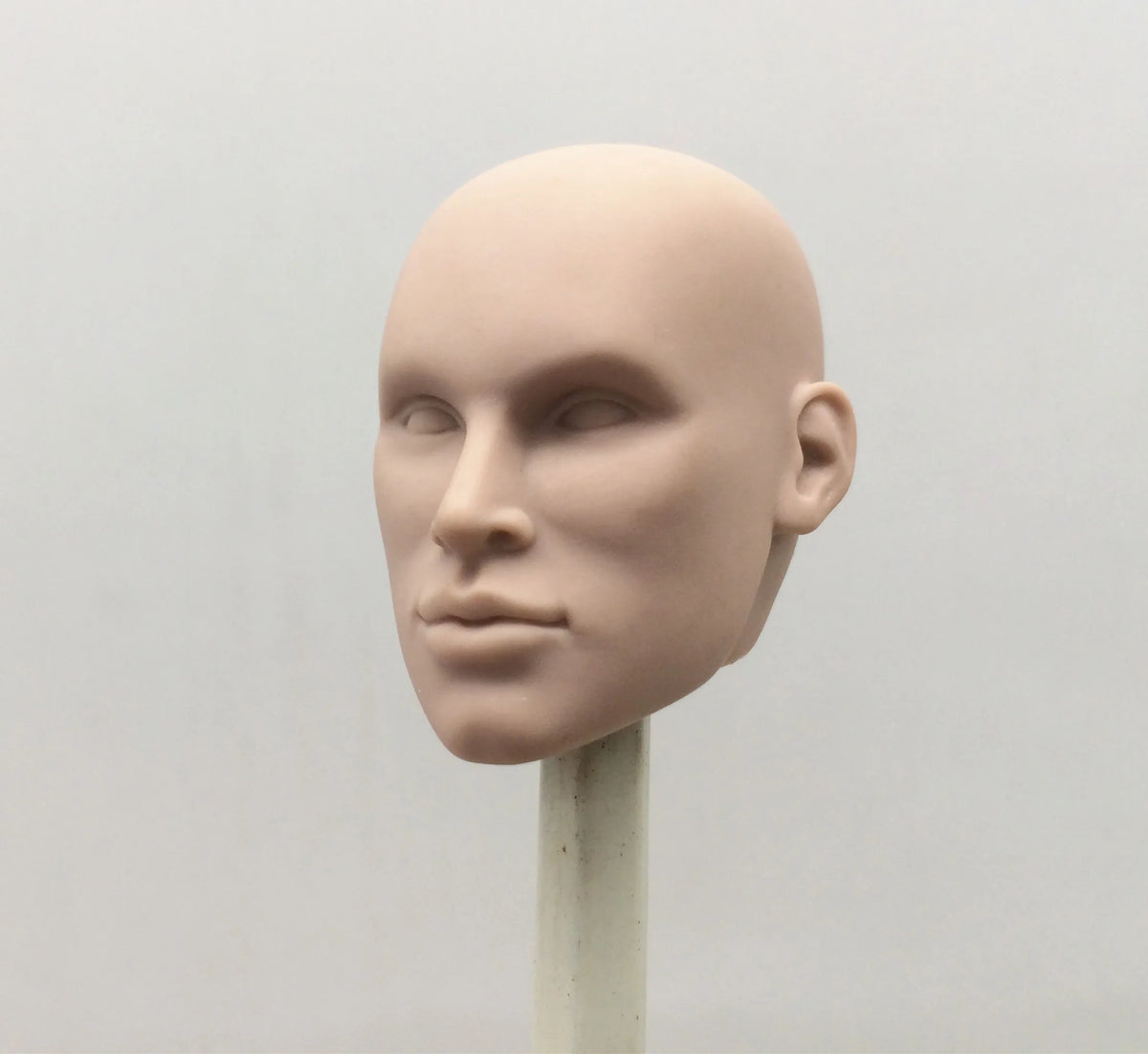 Fashion Royalty Color Infusion No Hair Japan Skin 1/6 Scale Integrity Male Nigel North Doll Head
