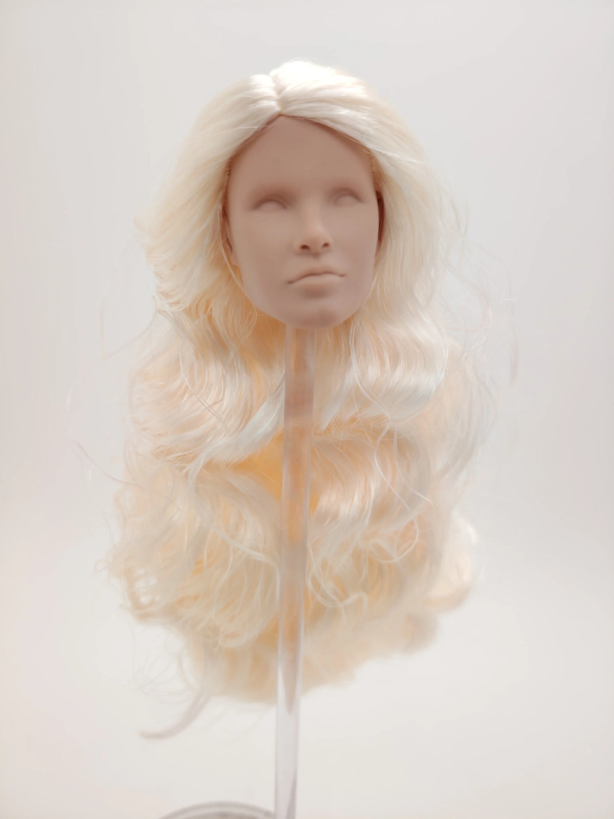Fashion Royalty Blonde Hair Rerooted 1/6 Scale Homme Male Man Blank Doll Head