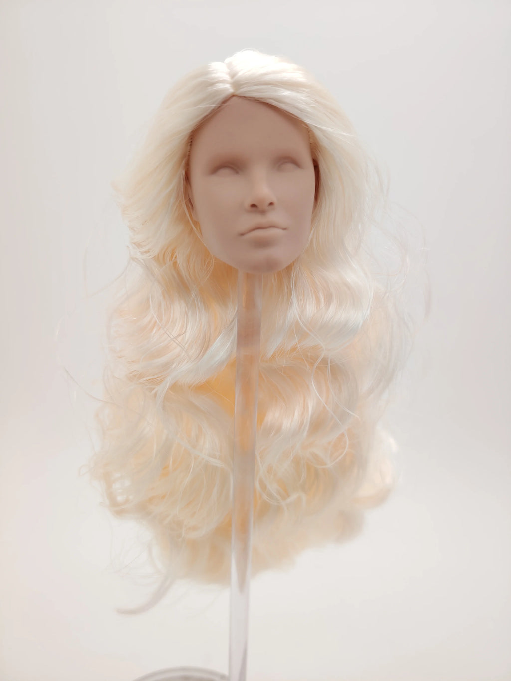 Fashion Royalty Blonde Hair Rerooted 1/6 Scale Homme Male Man Blank Doll Head