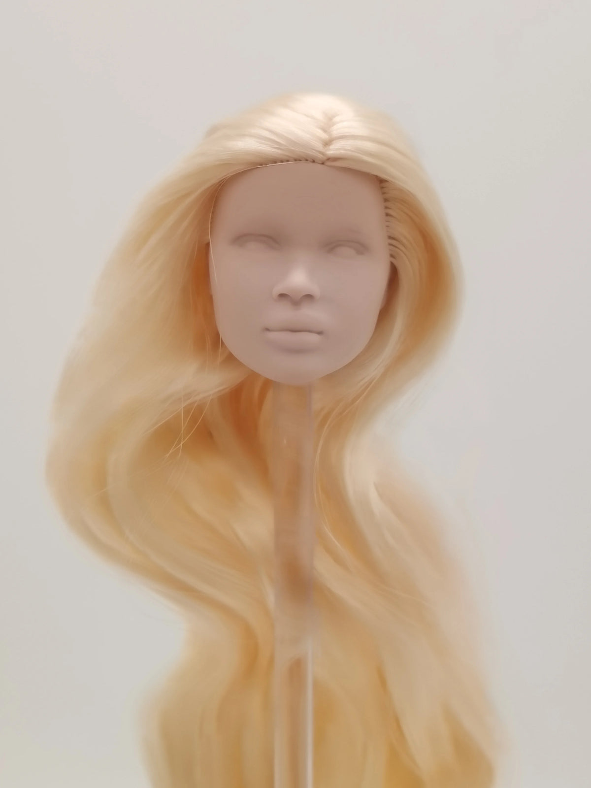 Fashion Royalty Nadja Rhymes Nu.Face Adele Hair Rerooted 1/6 Scale Blank Face Doll Head