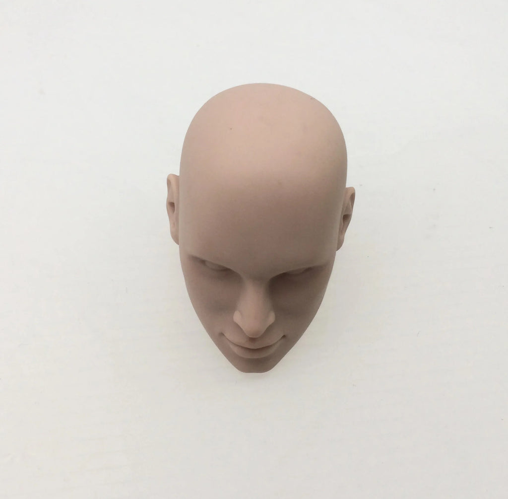 Fashion Royalty Color Infusion No Hair Japan Skin 1/6 Scale Integrity Male Nigel North Doll Head