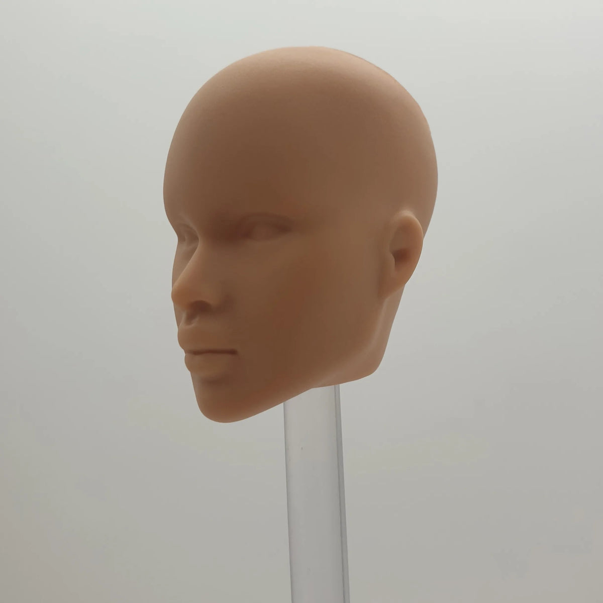 Fashion Royalty 1/6 Scale Nadja Rhymes Hungarian Japan Skin Blank Face Without Hair Integrity Unpainted Doll Head
