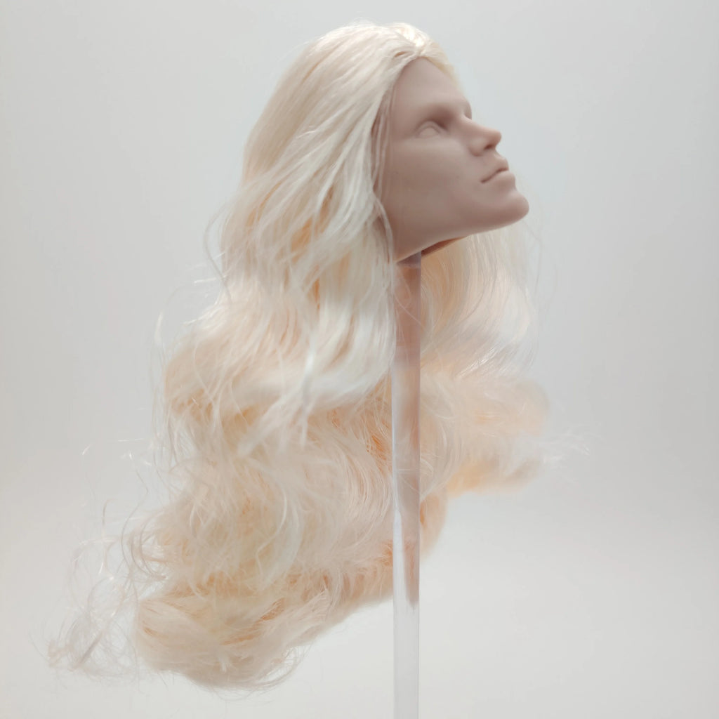 Fashion Royalty Noah Faraday Blonde Hair Japan Skin Color Infusion 1/6 Scale Doll Head