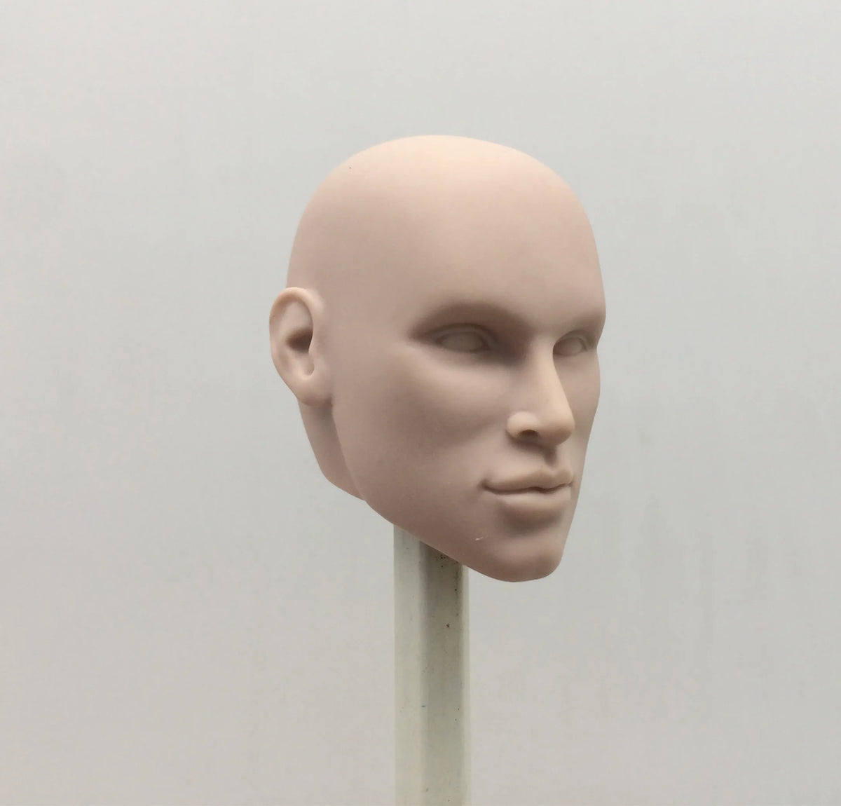 Fashion Royalty Color Infusion No Hair Japan Skin 1/6 Scale Integrity Male Nigel North Doll Head