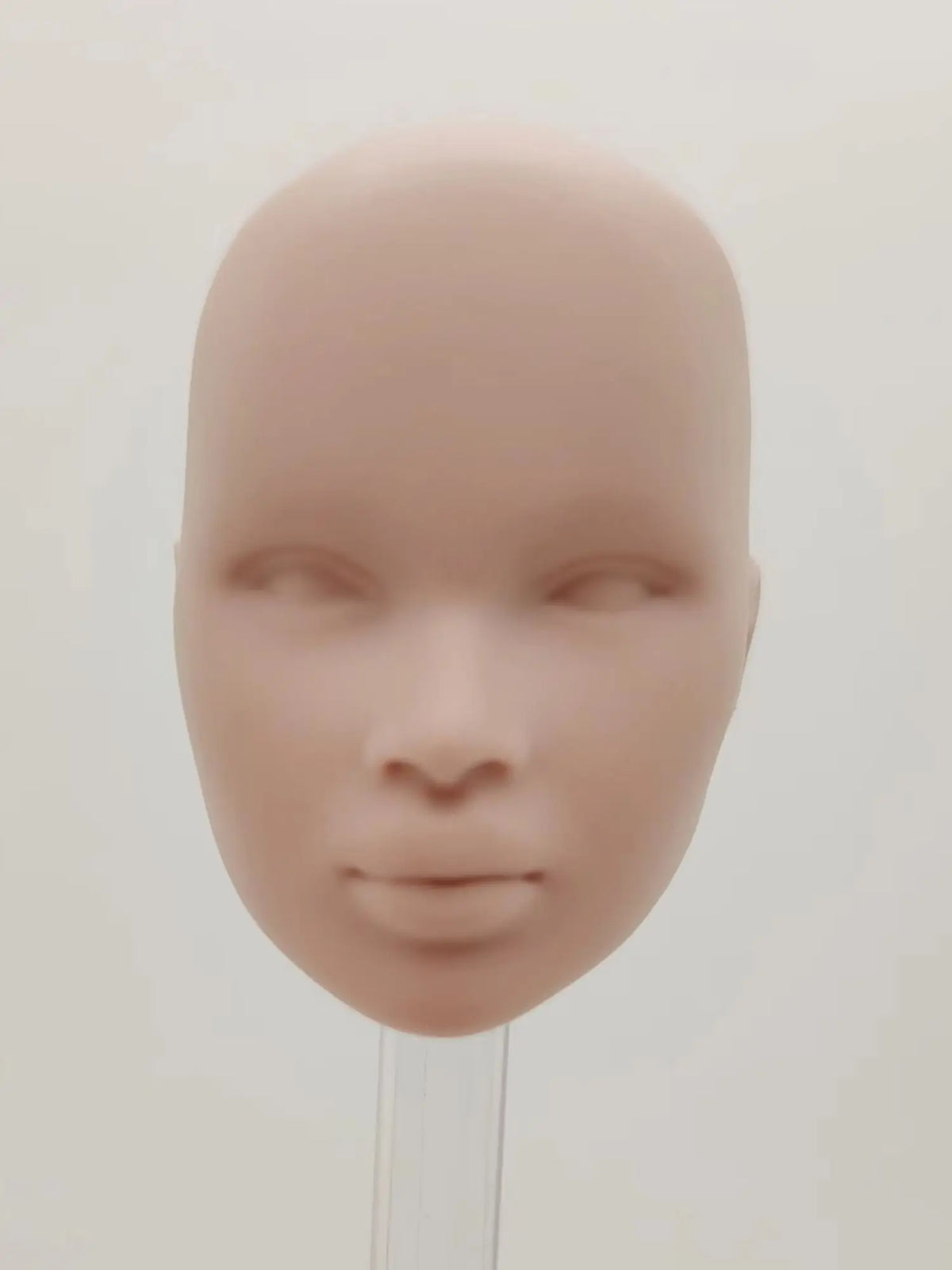 Fashion Royalty 1/6 Scale Nadja Rhymes Hungarian Japan Skin Blank Face Without Hair Integrity Unpainted Doll Head