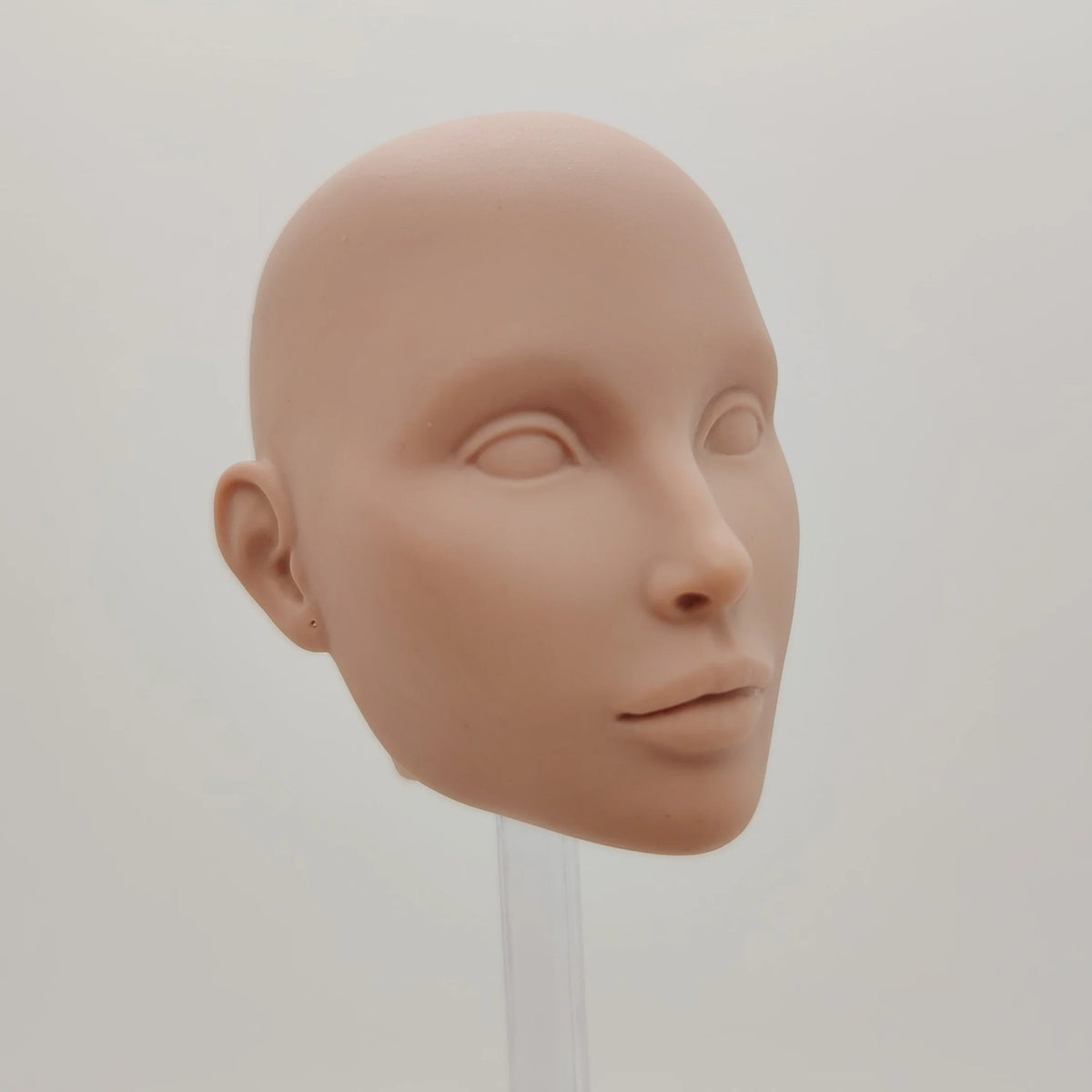 Fashion Royalty FR16 Blank Face Japan Skin No Hair 1/5 Scale Hanne Erickson Female Doll Head