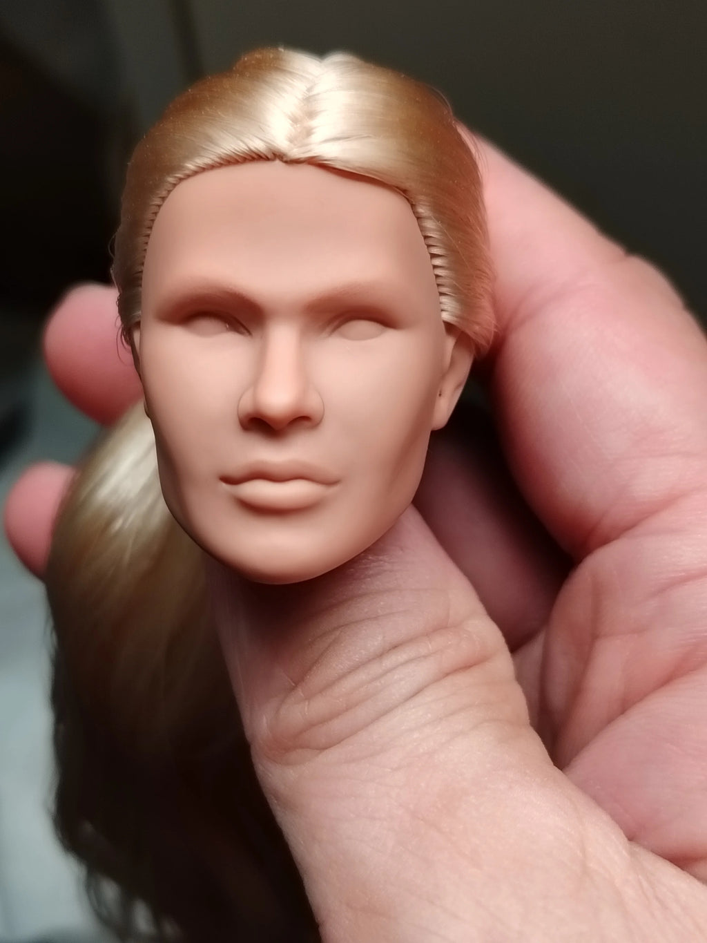 Fashion Royalty Homme Blank Face Blonde Hair Hungarian Skin Kieron Integrity Male Doll Head