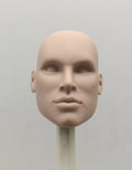 Fashion Royalty Color Infusion No Hair Japan Skin 1/6 Scale Integrity Male Nigel North Doll Head