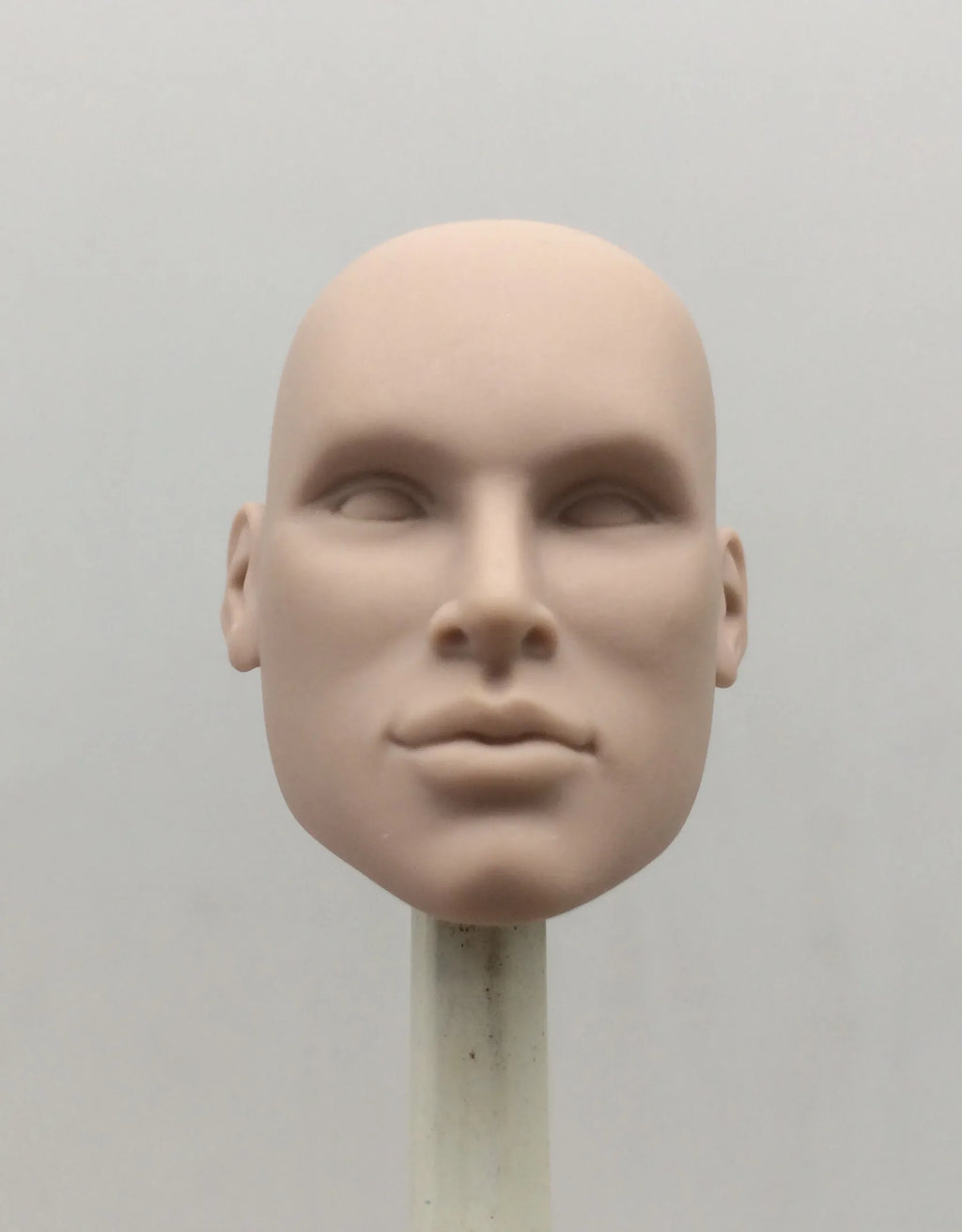 Fashion Royalty Color Infusion No Hair Japan Skin 1/6 Scale Integrity Male Nigel North Doll Head