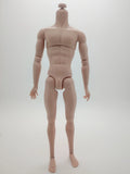 Fashion Royalty 1/6 Scale Japan Skin Homme Bellamy Blue Integrity Male Doll Body