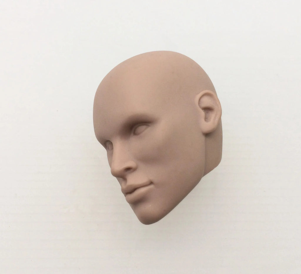Fashion Royalty Color Infusion No Hair Japan Skin 1/6 Scale Integrity Male Nigel North Doll Head