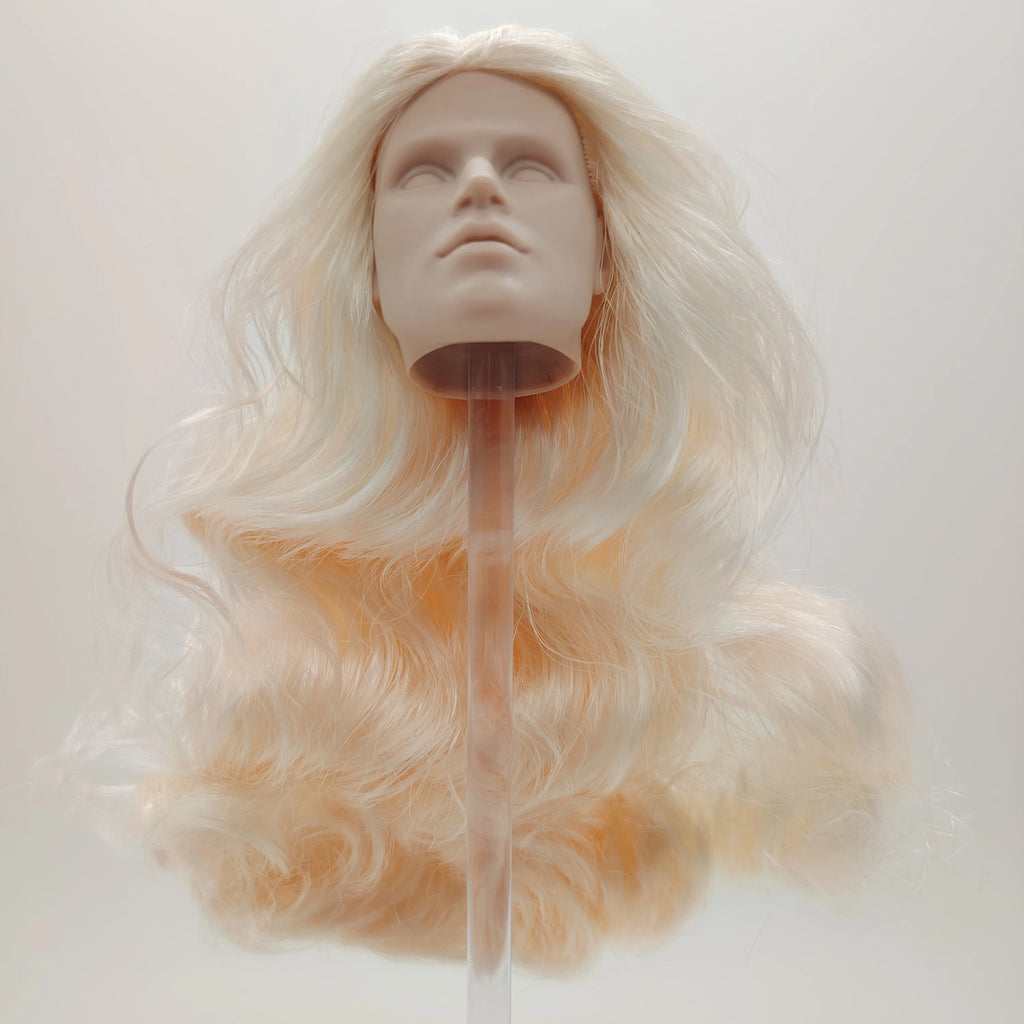Fashion Royalty Noah Faraday Blonde Hair Japan Skin Color Infusion 1/6 Scale Doll Head