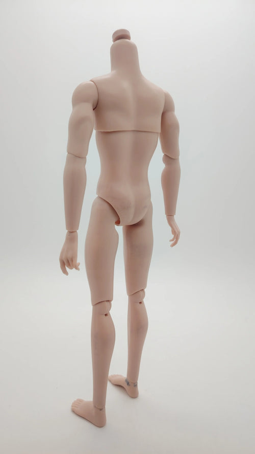 Fashion Royalty 1/6 Scale Japan Skin Homme Bellamy Blue Integrity Male Doll Body