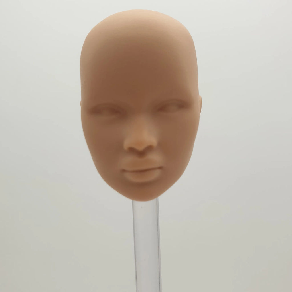 Fashion Royalty 1/6 Scale Nadja Rhymes Hungarian Japan Skin Blank Face Without Hair Integrity Unpainted Doll Head