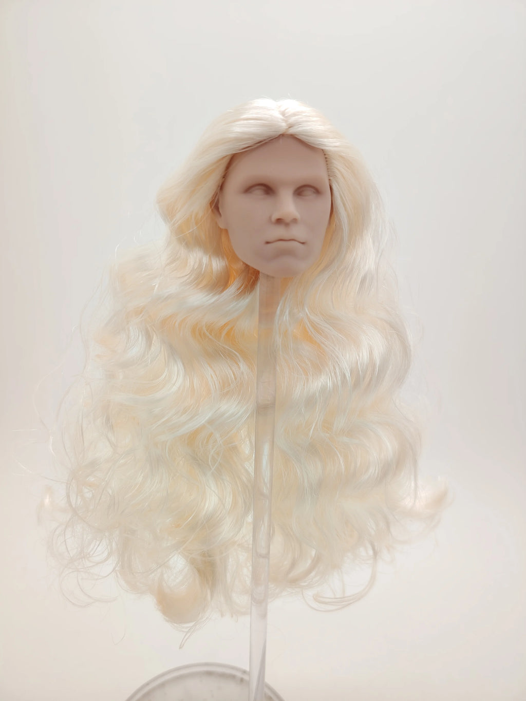 Fashion Royalty Blonde Hair Rerooted 1/6 Scale Homme Male Man Blank Doll Head